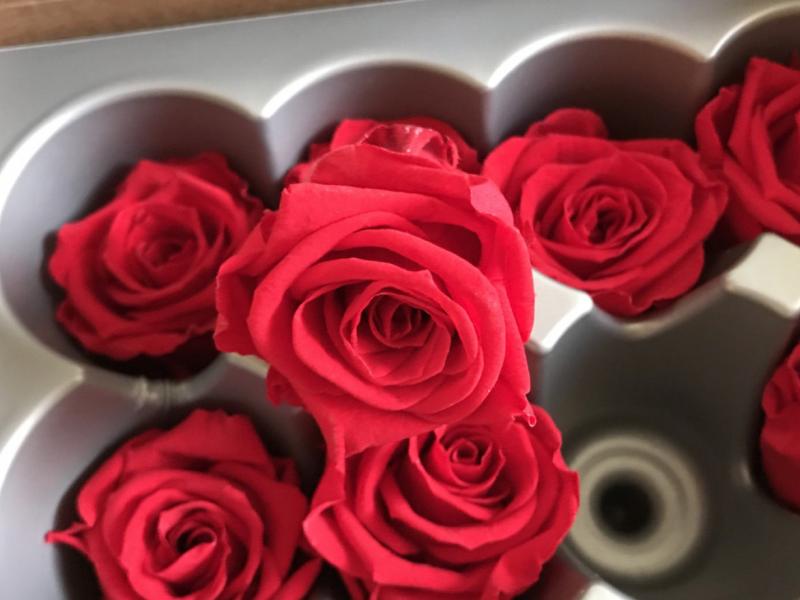 Стабилизованные бутоны роз 
