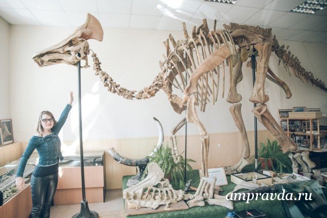 Чому динозаври стали знахідкою для всього світу і країни, але Приамур'ї не користується своїм брендом