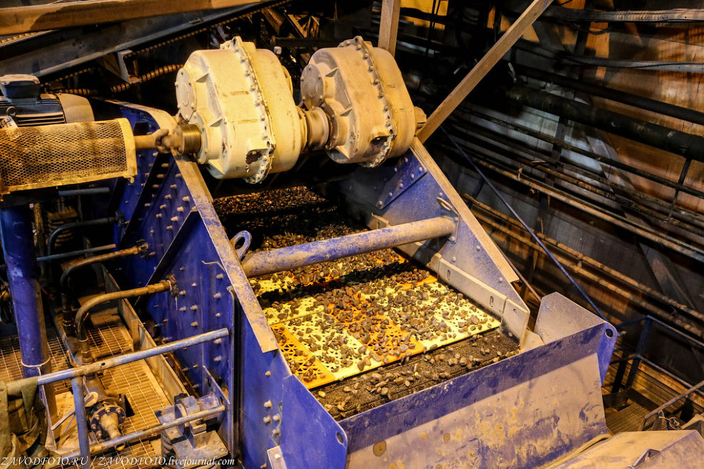 На фабрику в годину надходить десь 450 тонн руди, після всіх маніпуляцій залишається всього 500 кг, які вже ретельно перевіряють на наявність алмазів