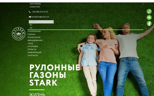 Купить рулонный газон STARK Купить рулонный газон STARK