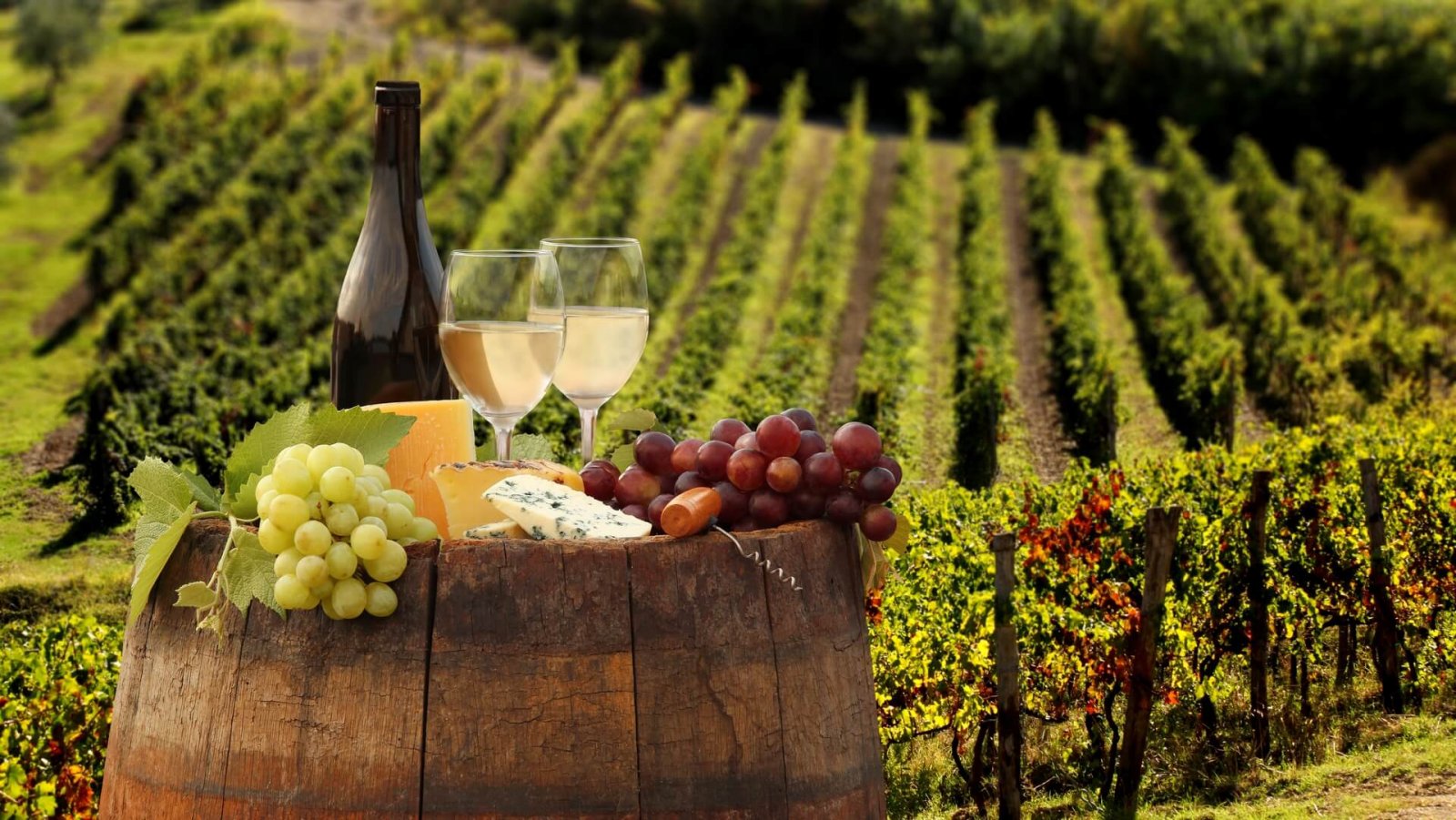 Виноробне господарство «Вілла Романов» на 39% належить Андрію Романову, який раніше володів виробником вина «Русский Азов»