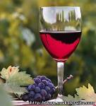 8-10 листопада в Києві відбудеться найбільший в Україні фестиваль вина Wine Fest