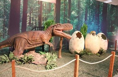 26 січня 2014 року, 2:27 Переглядів:   Динозаври